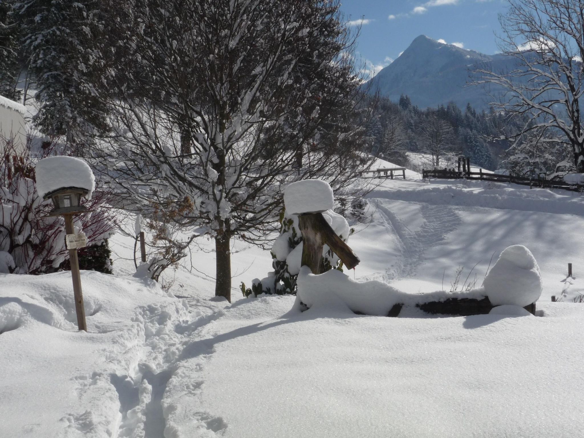 Hans Ebner in Eben im Pongau-Binnen