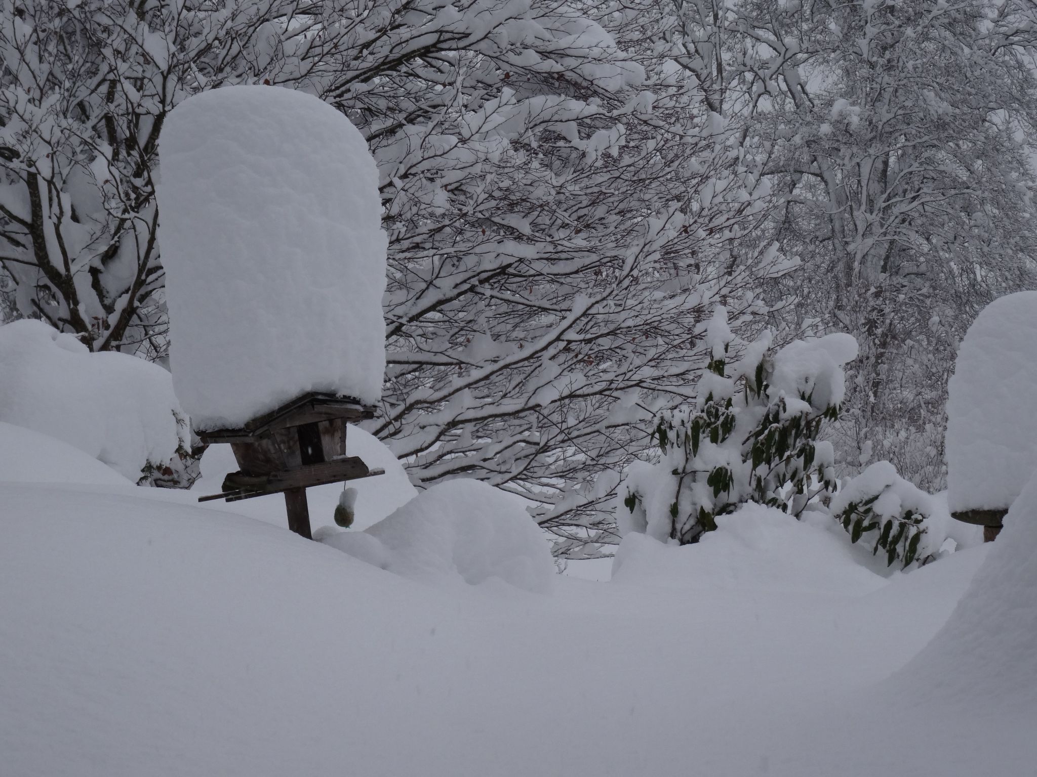 Hans Ebner in Eben im Pongau-Binnen