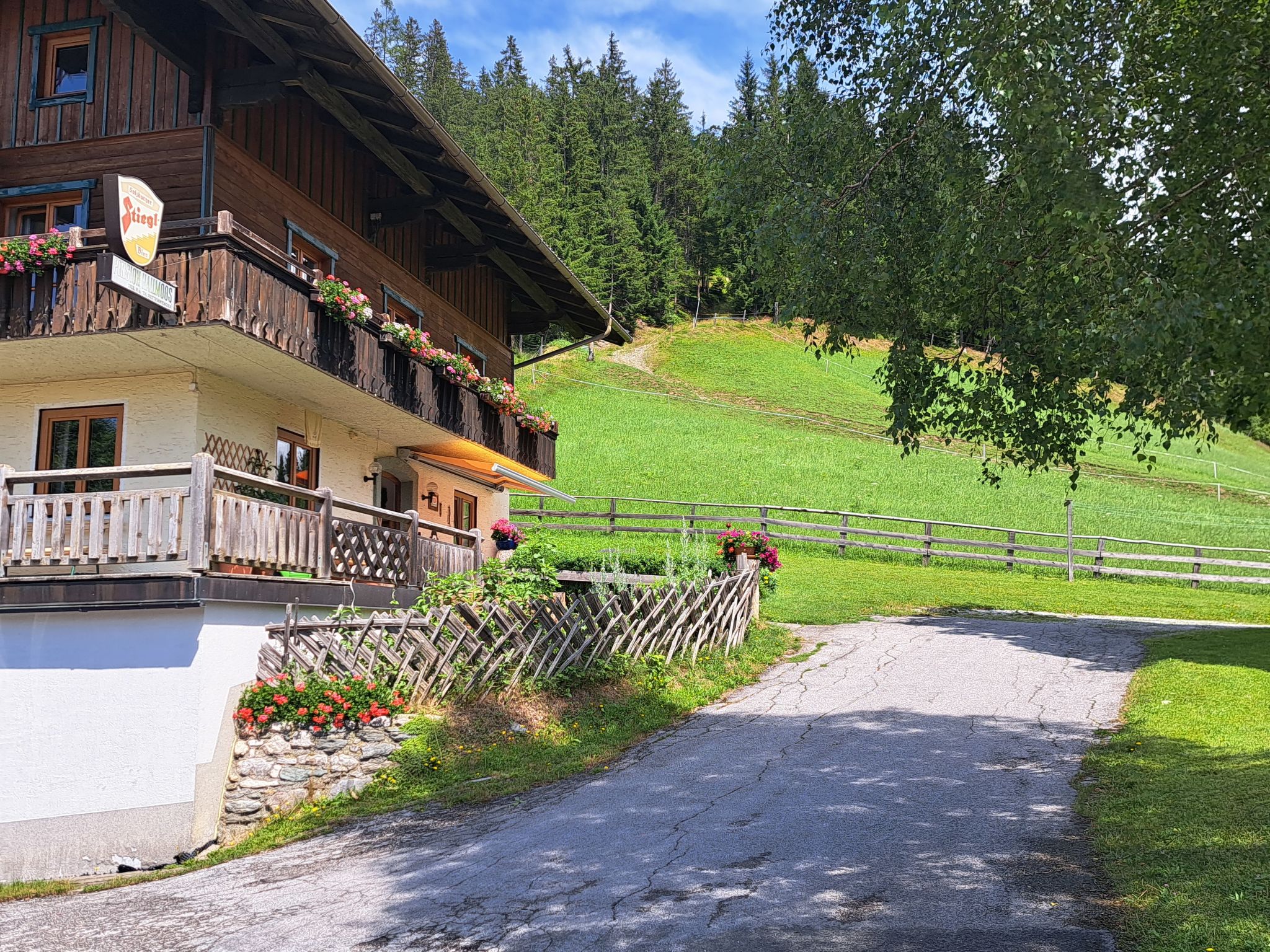 Photo of Bischofsmütze