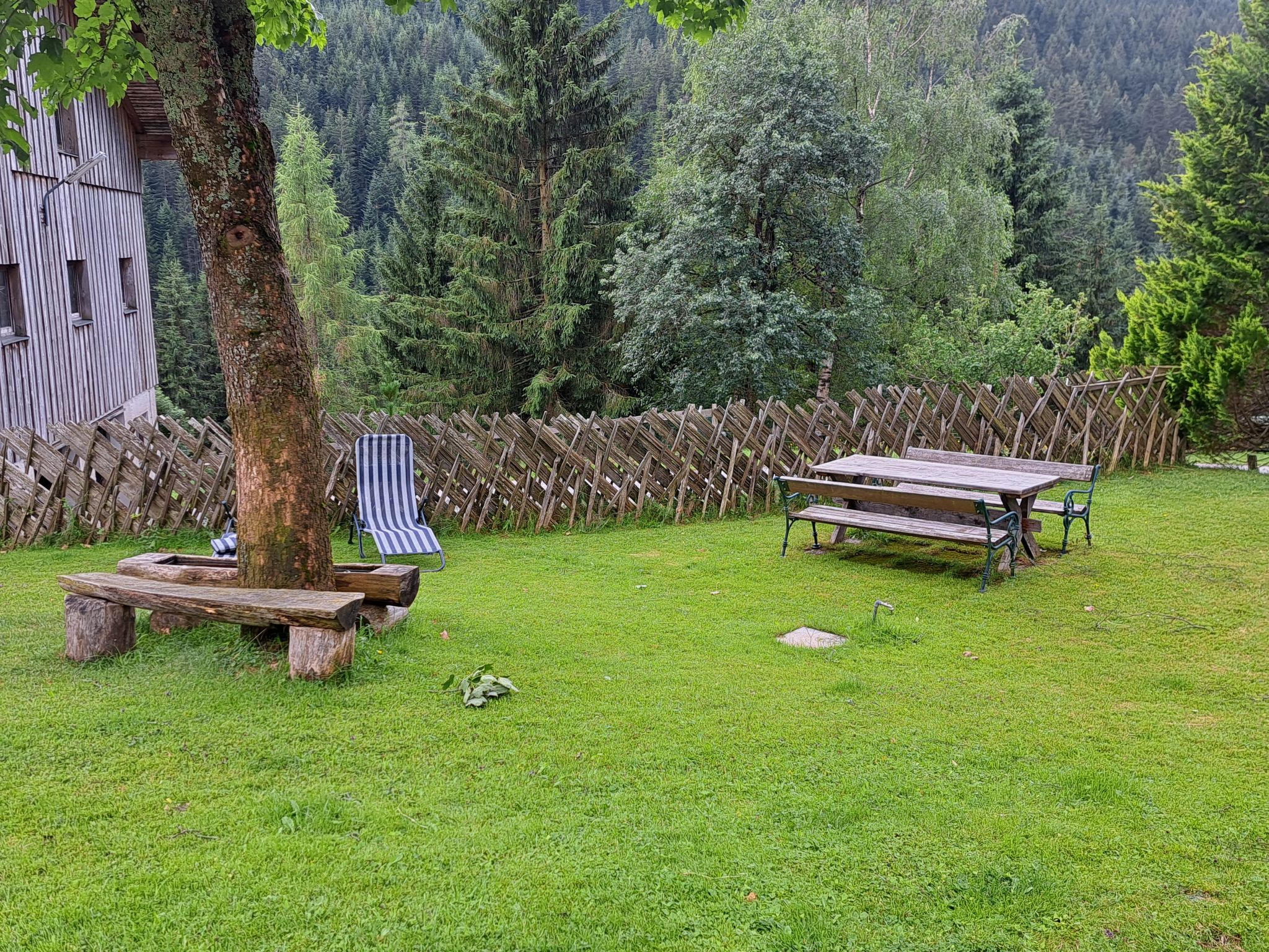 Photo of Bischofsmütze