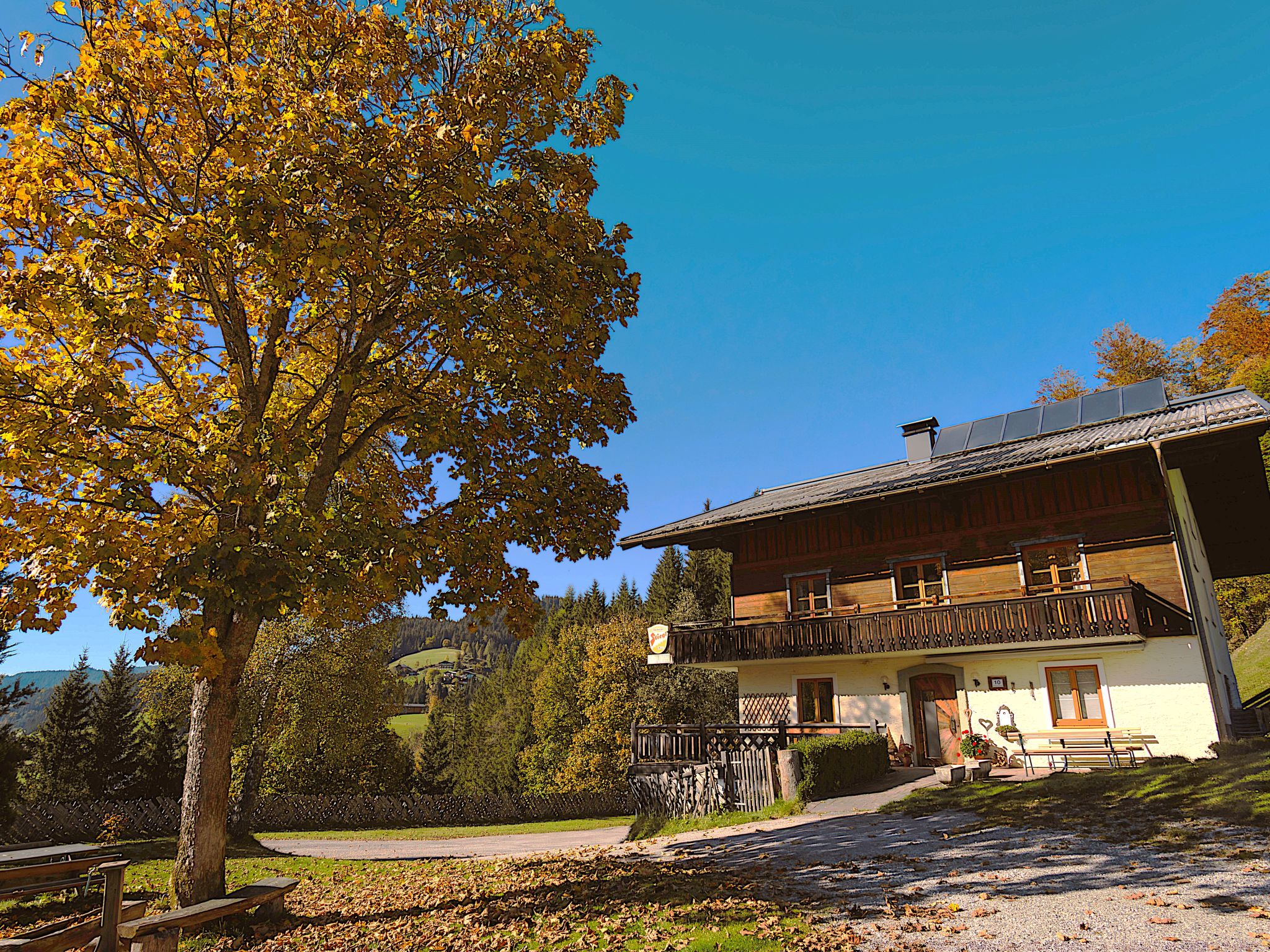 Photo of Bischofsmütze