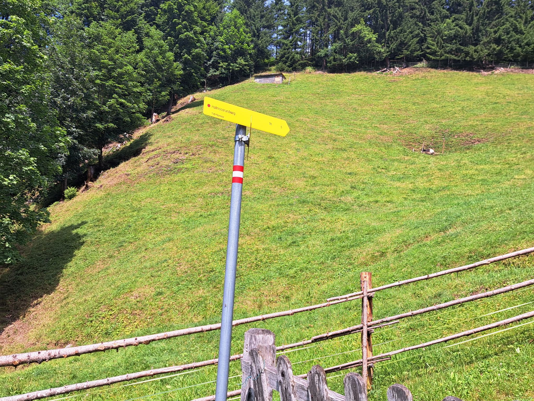 Photo of Bischofsmütze