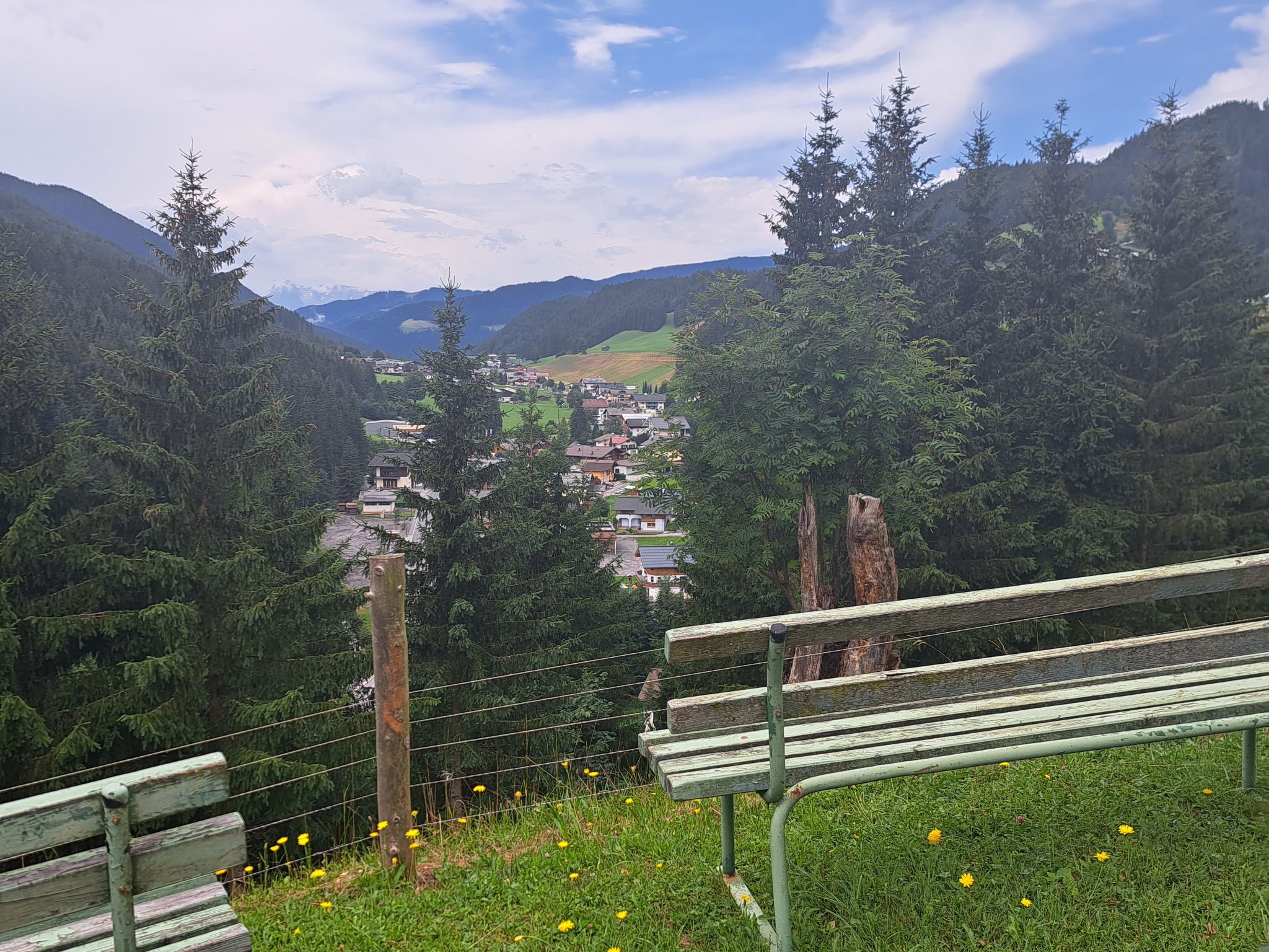Photo of Bischofsmütze