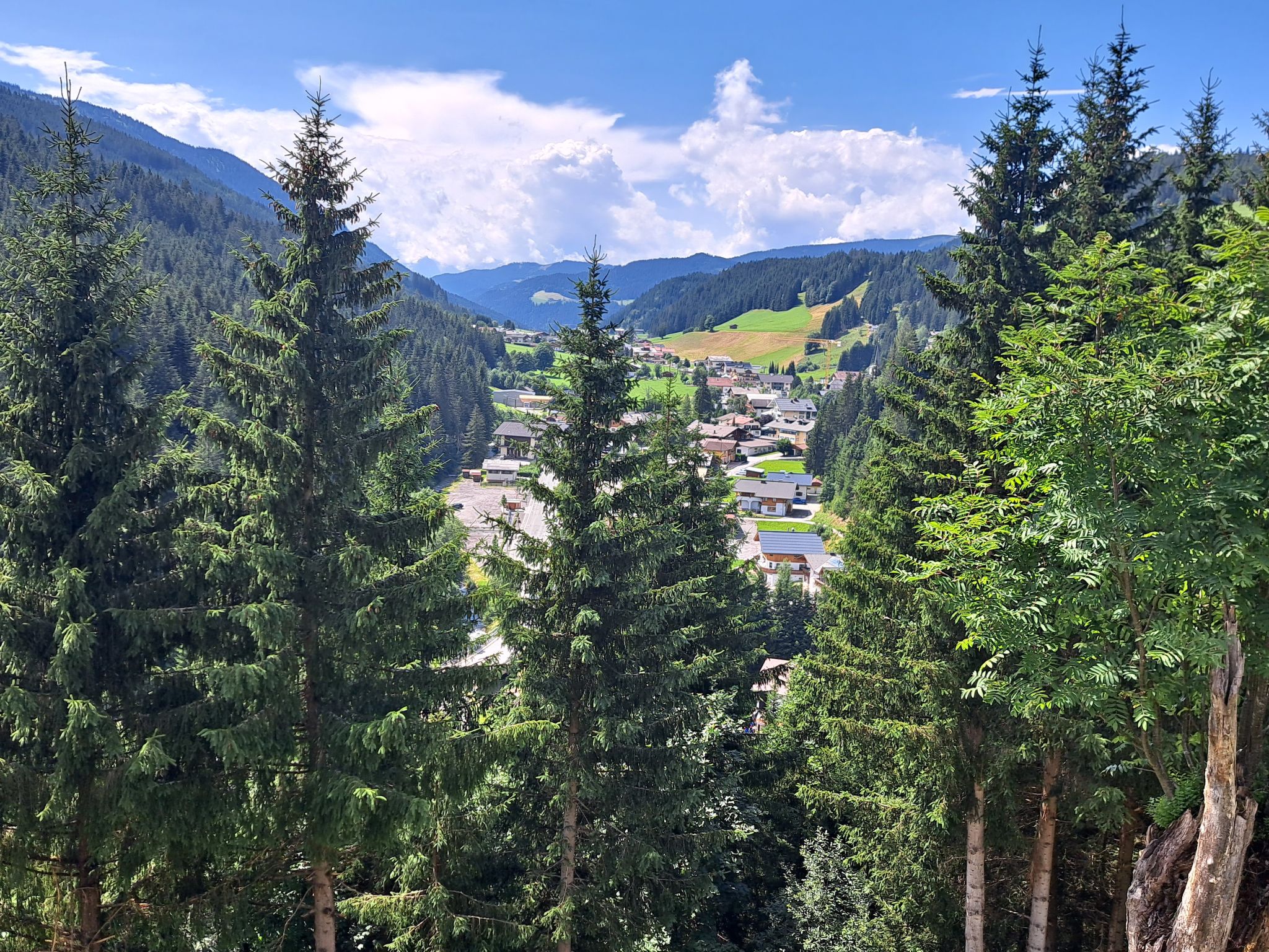 Photo of Bischofsmütze
