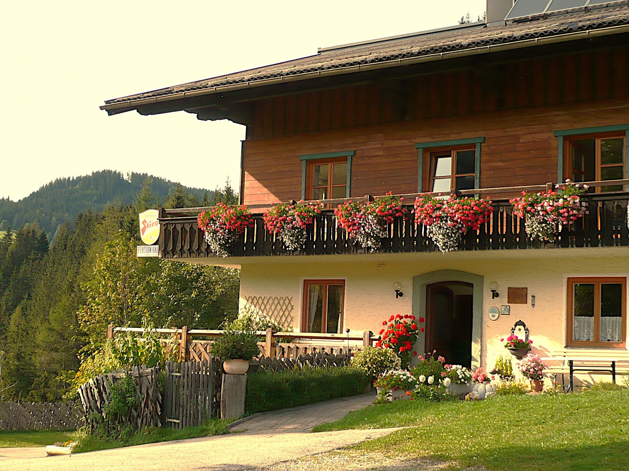 Photo of Bischofsmütze