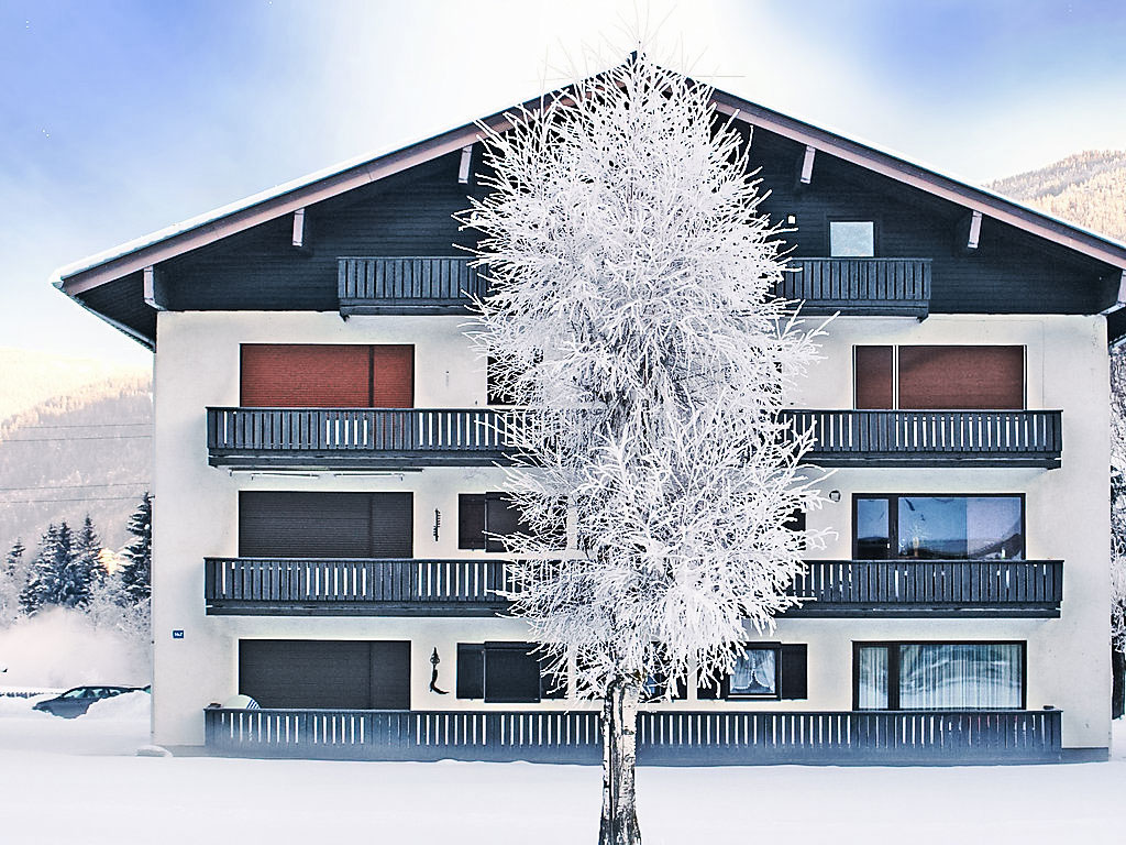 Ferienwohnung Dachstein Ferienwohnung in Flachau