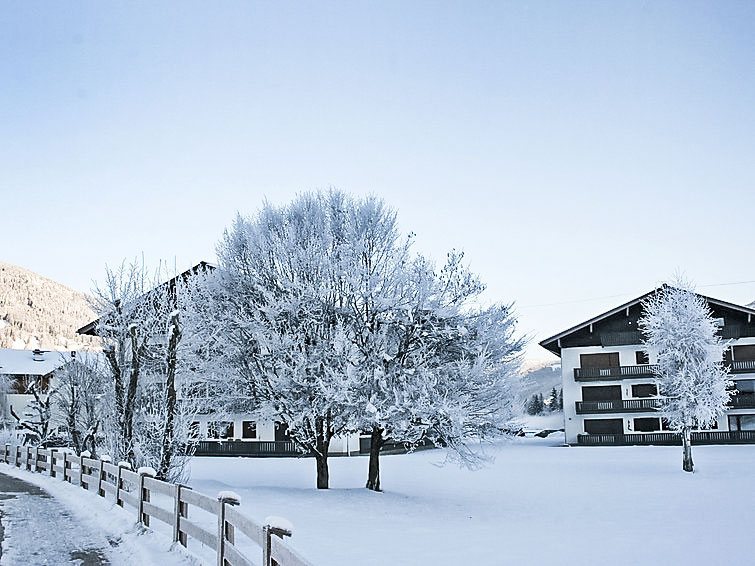 APARTMENT DACHSTEIN