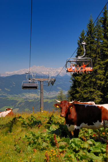 Photo of Dachstein