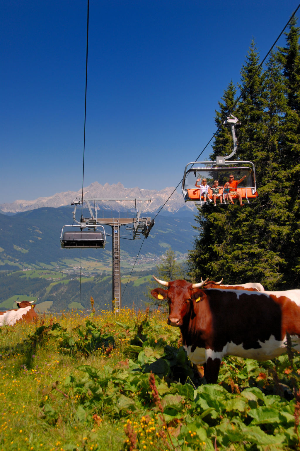 Dachstein-Omgeving