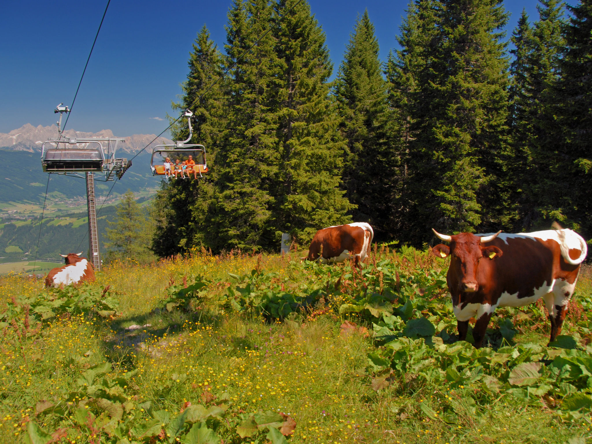 Dachstein-Omgeving