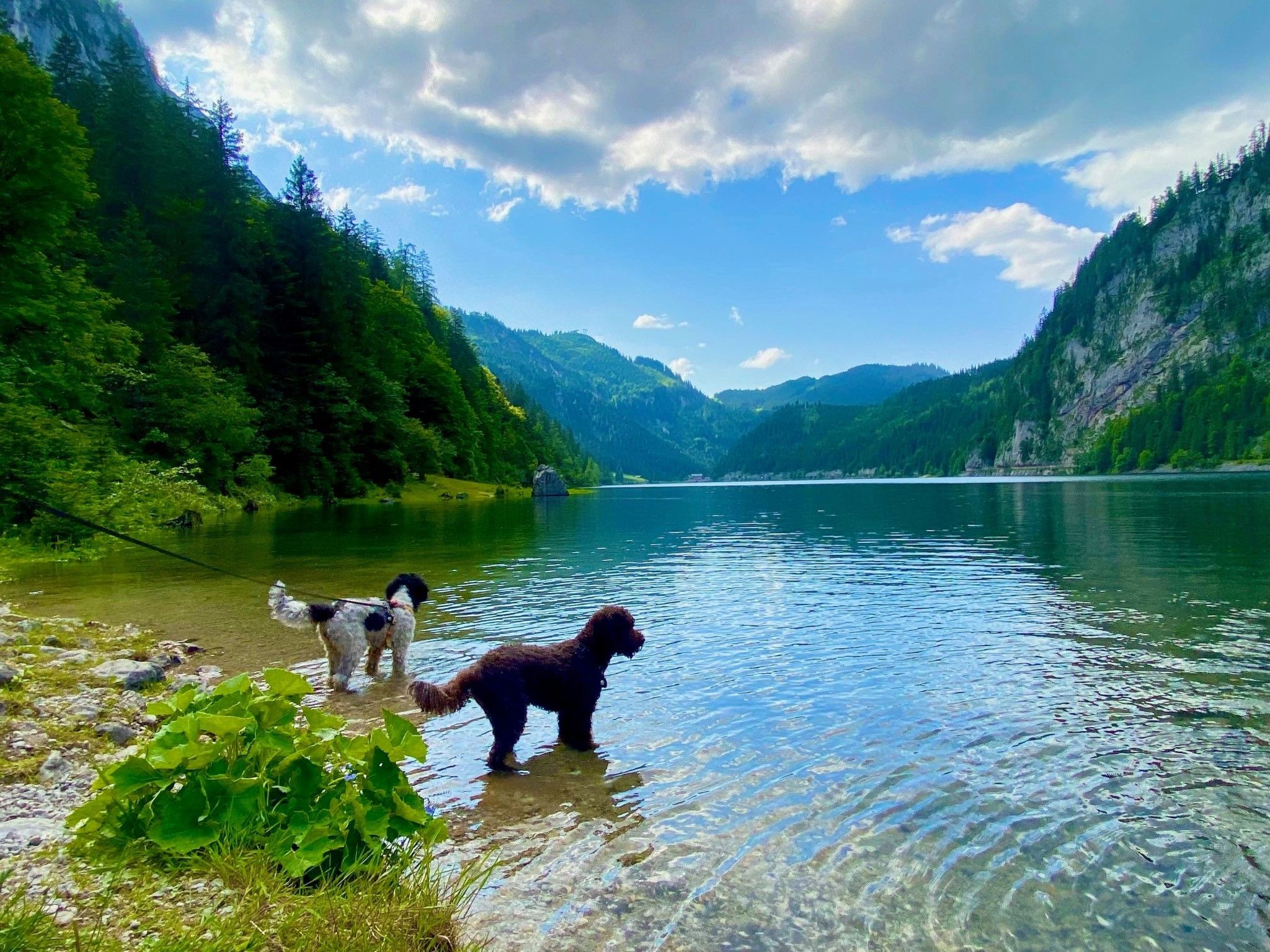 Photo of Chalet Promi-Alm in Flachau
