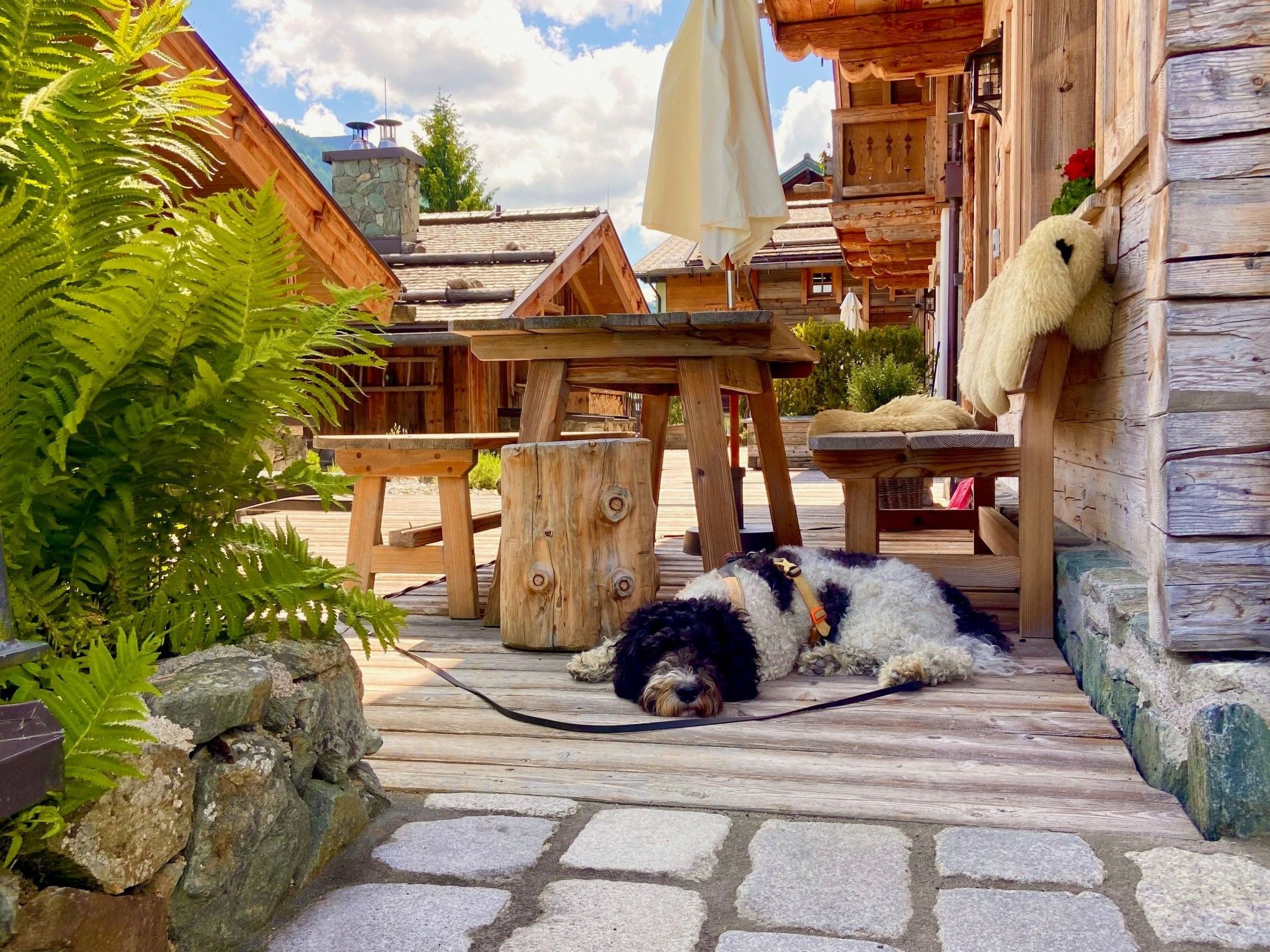 Photo of Chalet Promi-Alm in Flachau