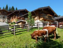Vakantiehuis met open haard en sauna in centrum van Flachau - thumbnail 3