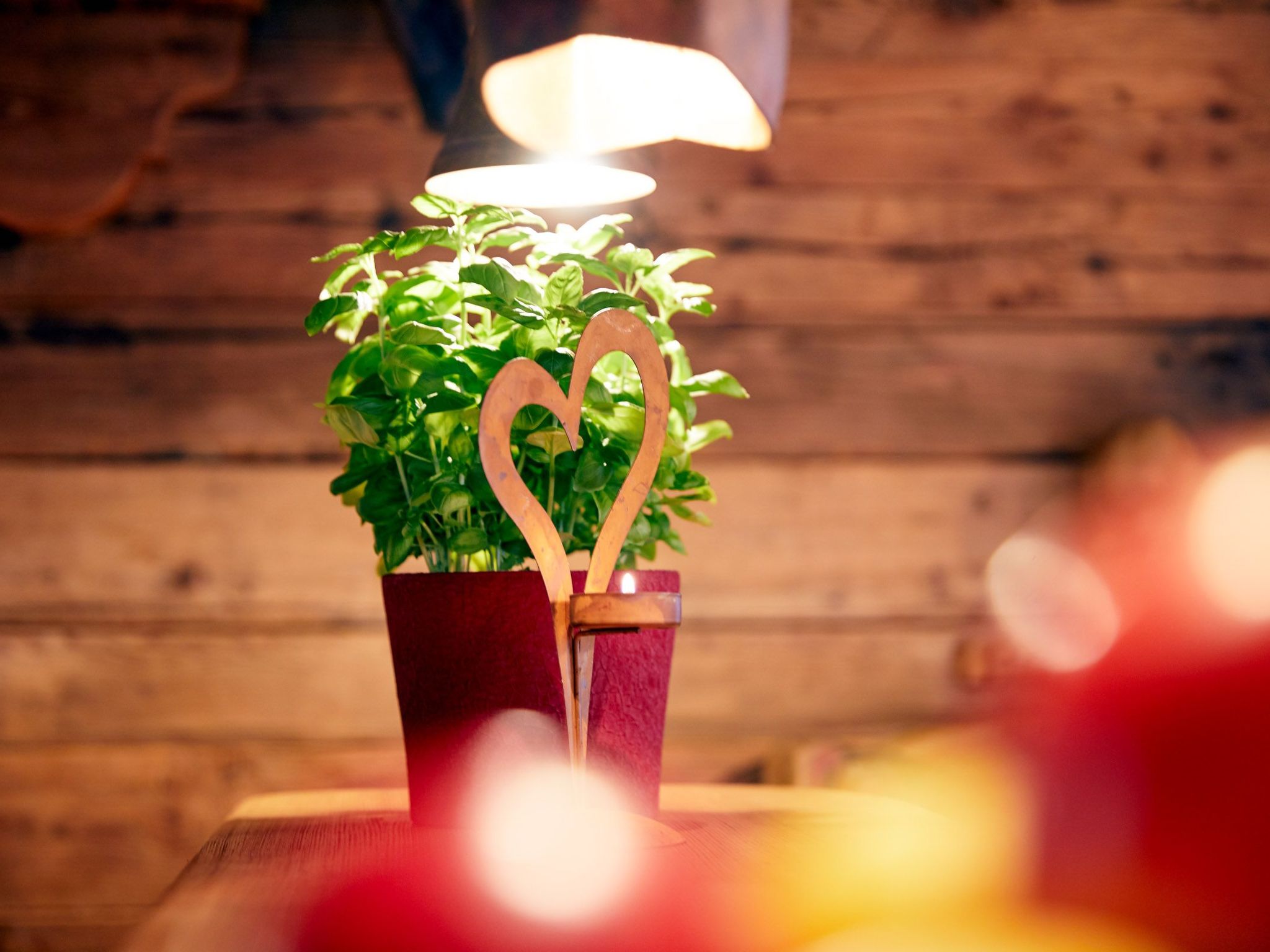 Photo of im Almdorf in Flachau