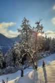 Ferienhaus Ferienwohnung Alpenauszeit