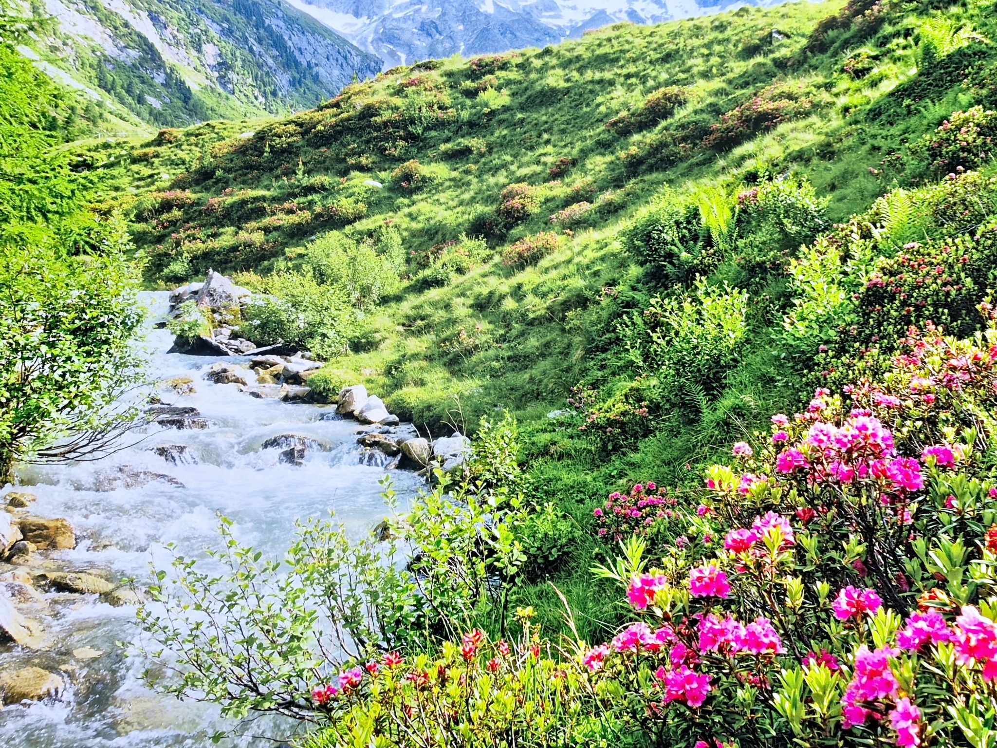 Photo of Alpenflair 2