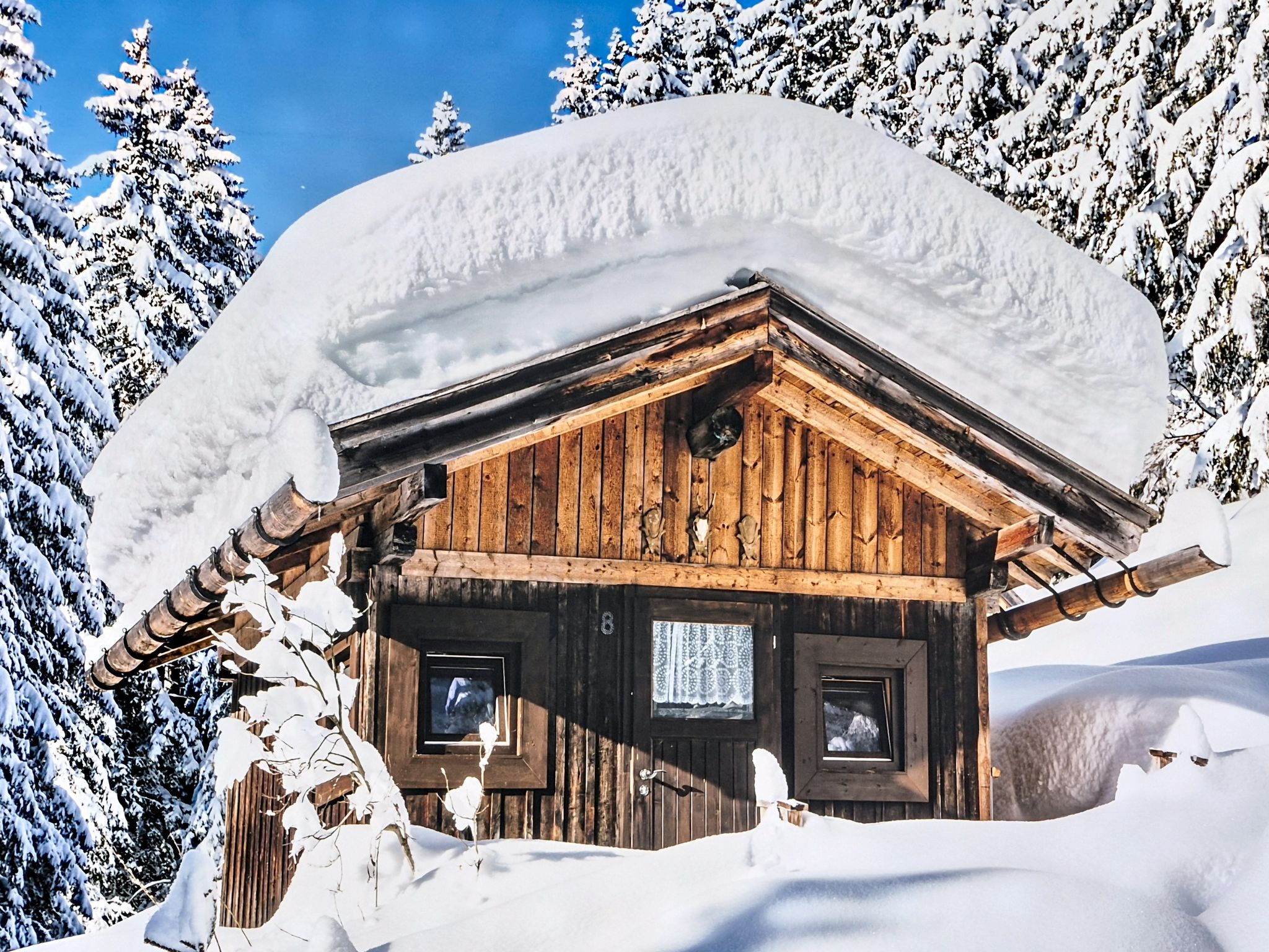 Photo of Alpenflair 3