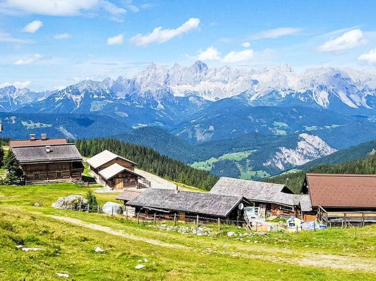 Aan de piste: Comfortabel appartement Sennerin in Forstau in Forstau