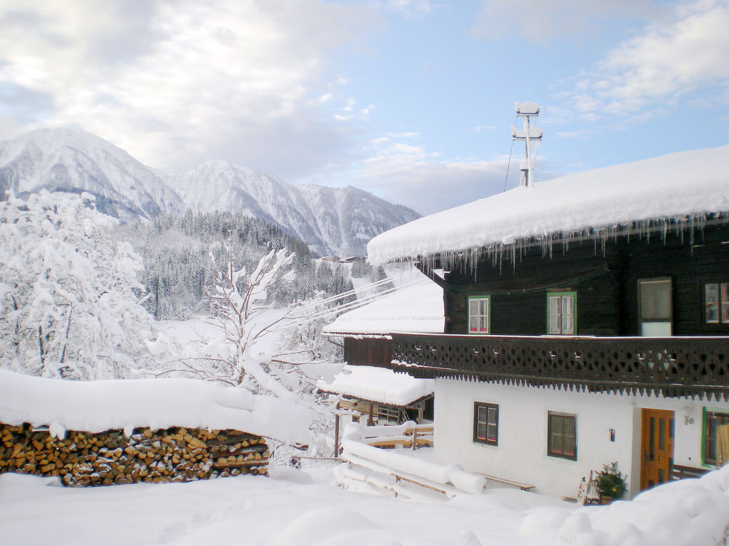 Ferienhaus Lehen (EIT100) Ferienhaus in Österreich