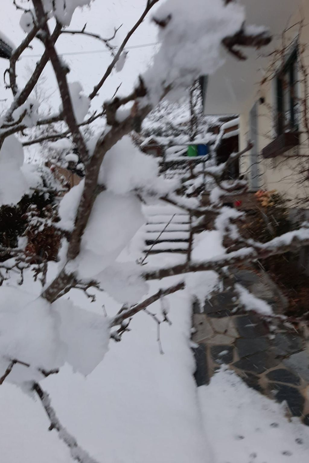 Haus Bernkogelblick in Goldegg-Binnen