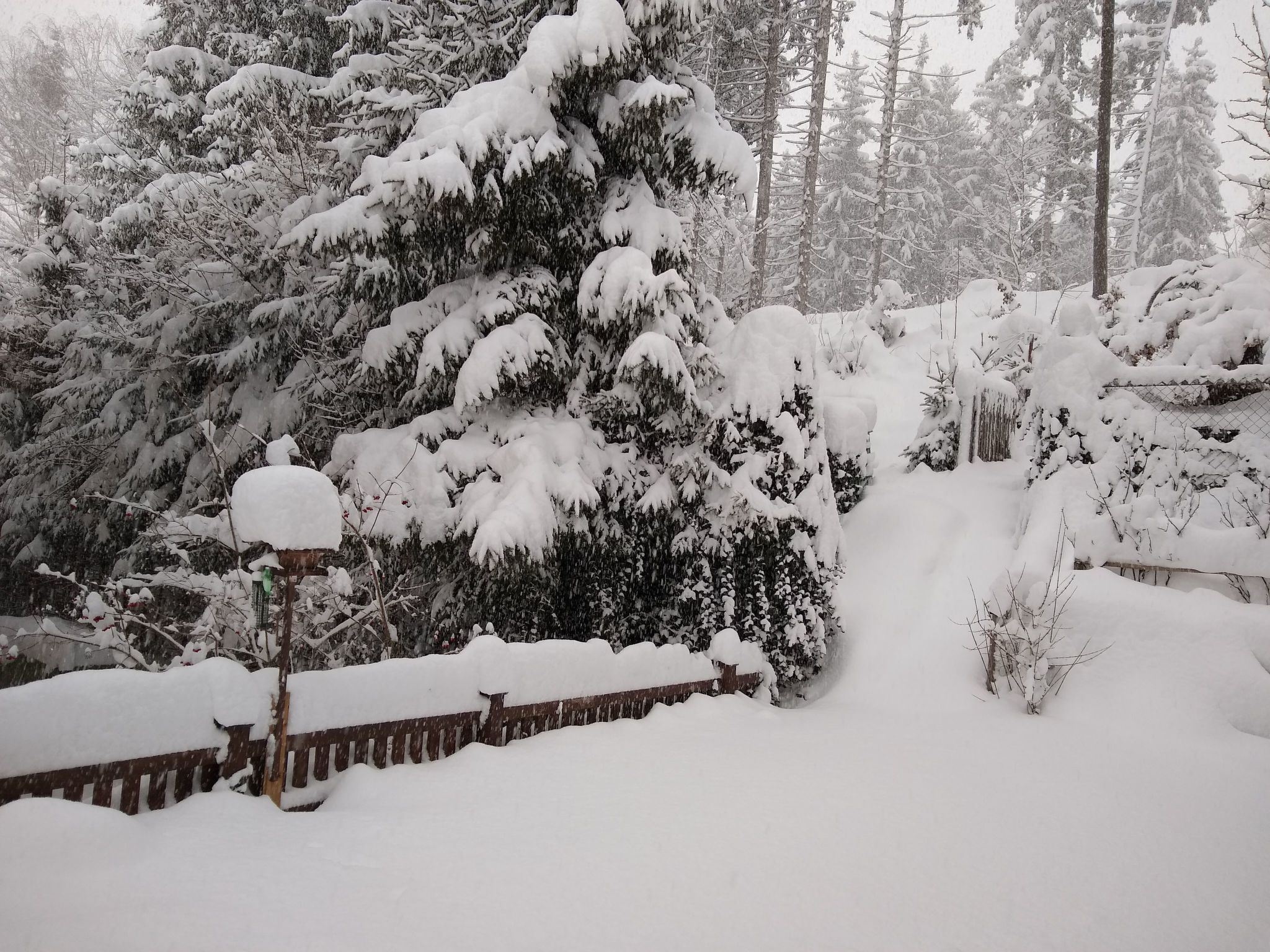 Haus Bernkogelblick in Goldegg-Binnen