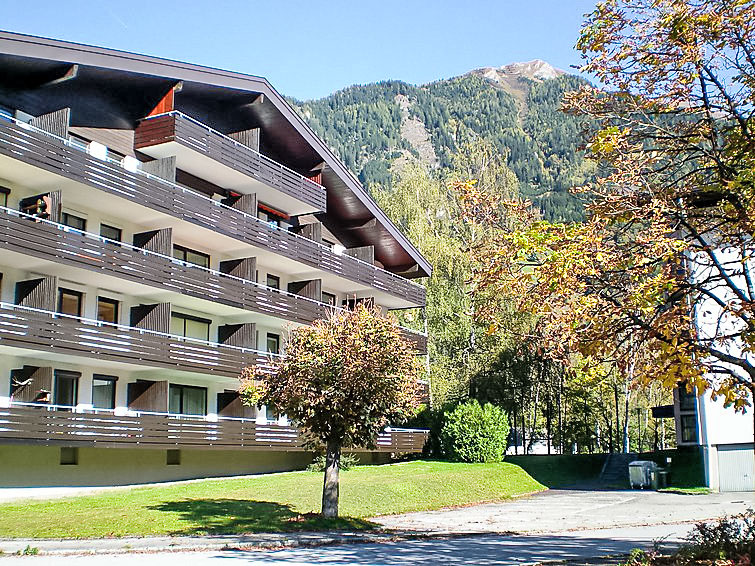 Sepp Apartment in Bad Hofgastein