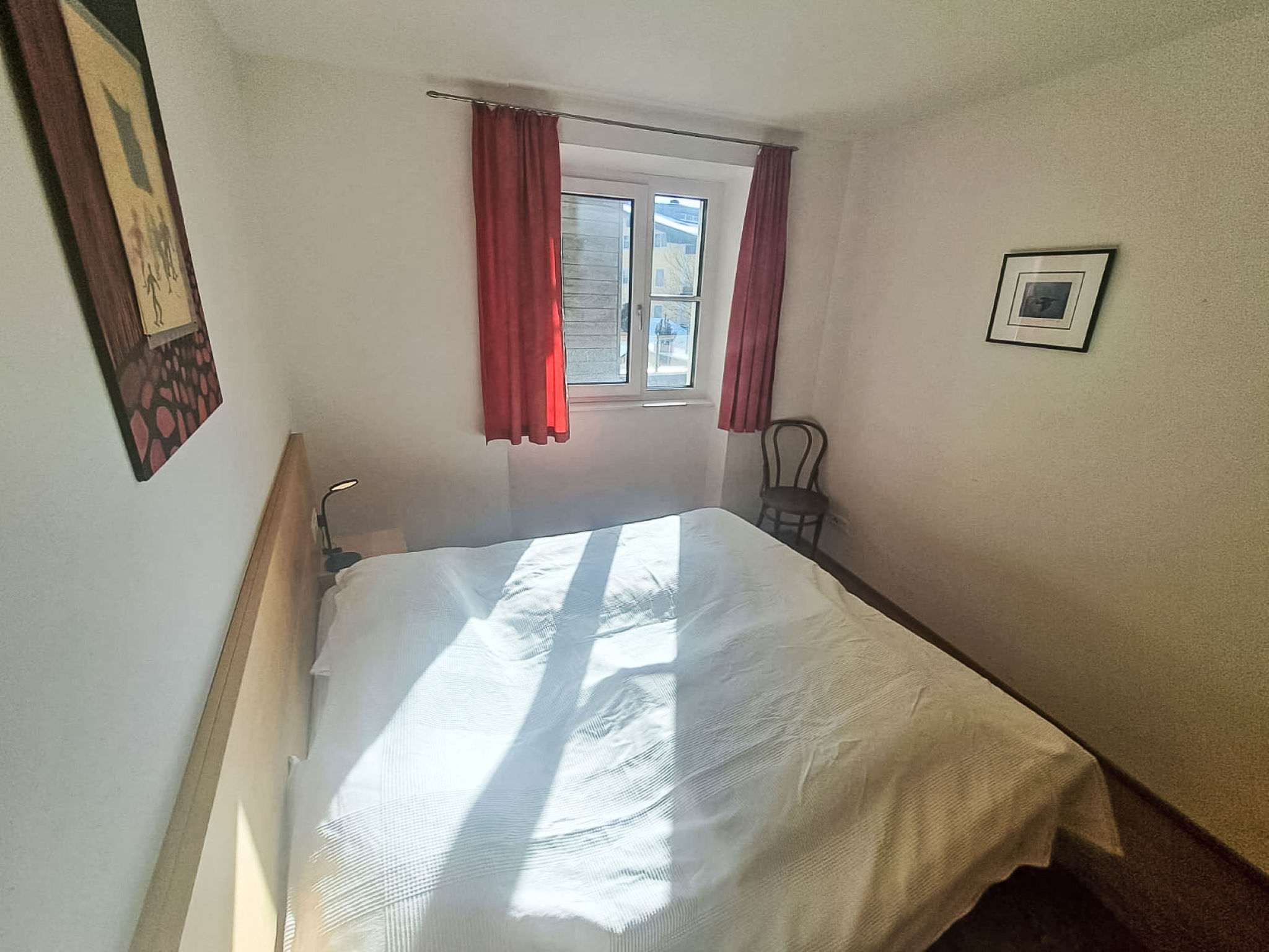 Photo of Dr. Adler Top 2