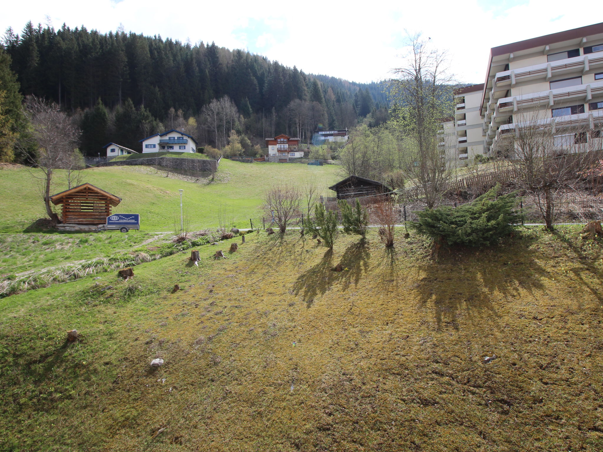 Photo of Murmeltier