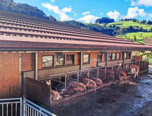 Ferienwohnung Schönblick Mountain Resort & Spa