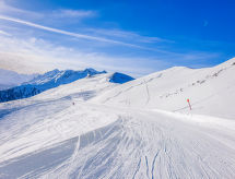 Appartement Schönblick in Rauris: Uitzicht, zwembad en 200m naar het centrum - thumbnail 3