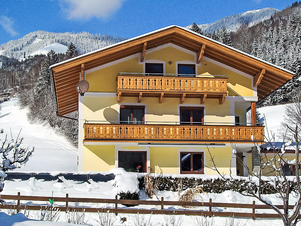 Ferienwohnung Haus Viktoria Ferienwohnung  Salzburger Land