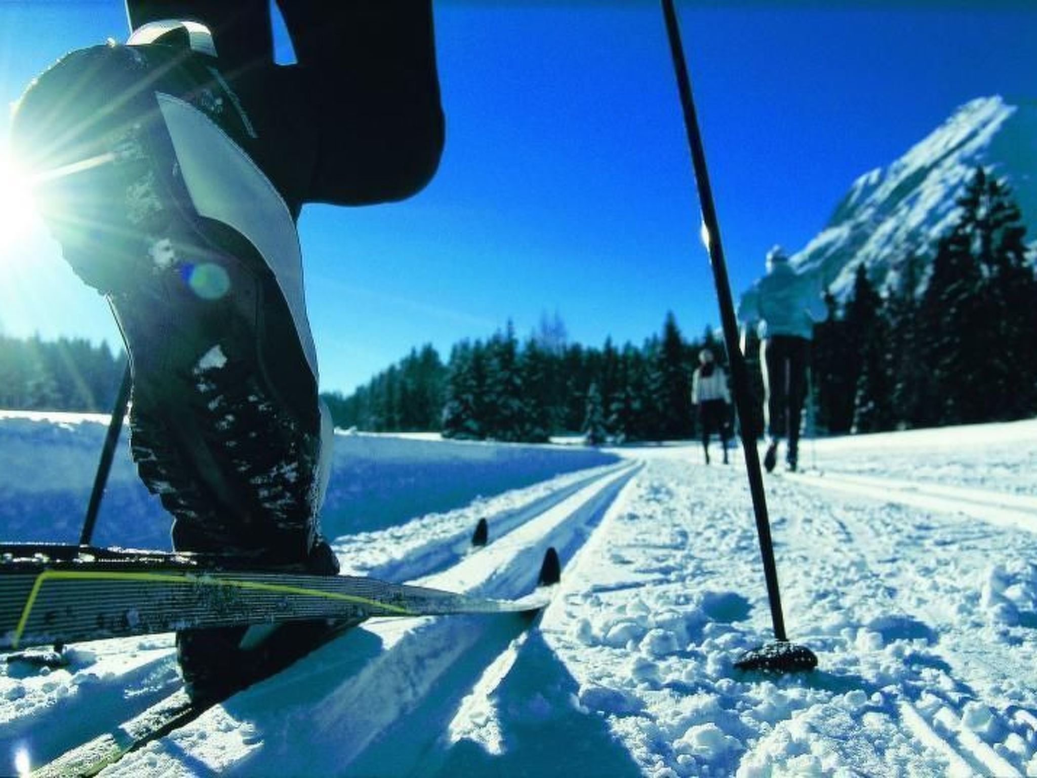 Appartement Gimpl-Image-tags.info