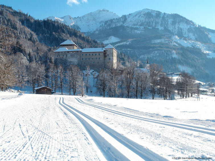 Photo of Ski & Golf Suites Zell am See