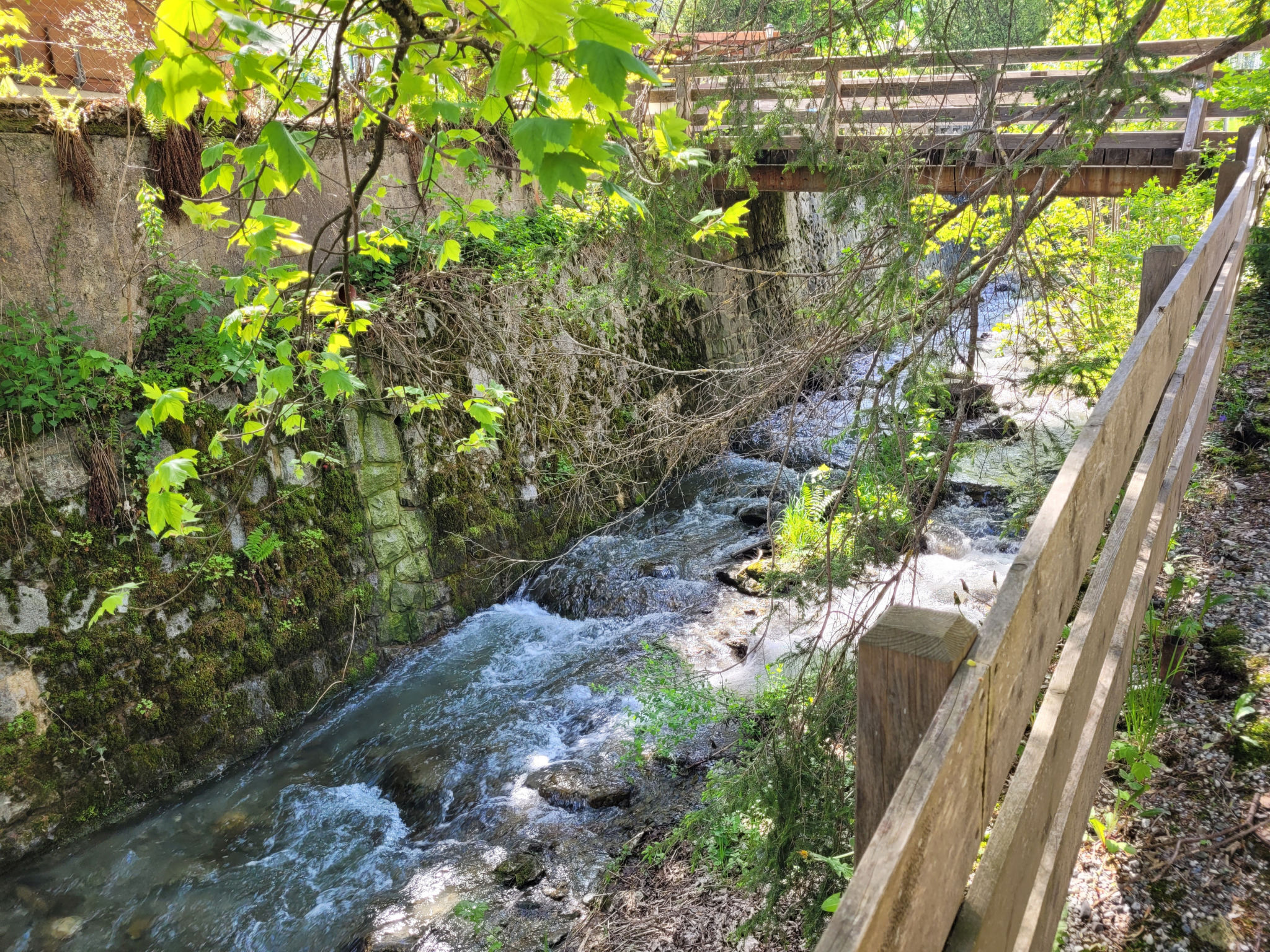 Photo of Apartment Peacock, nahe Zentrum, am Skiweg