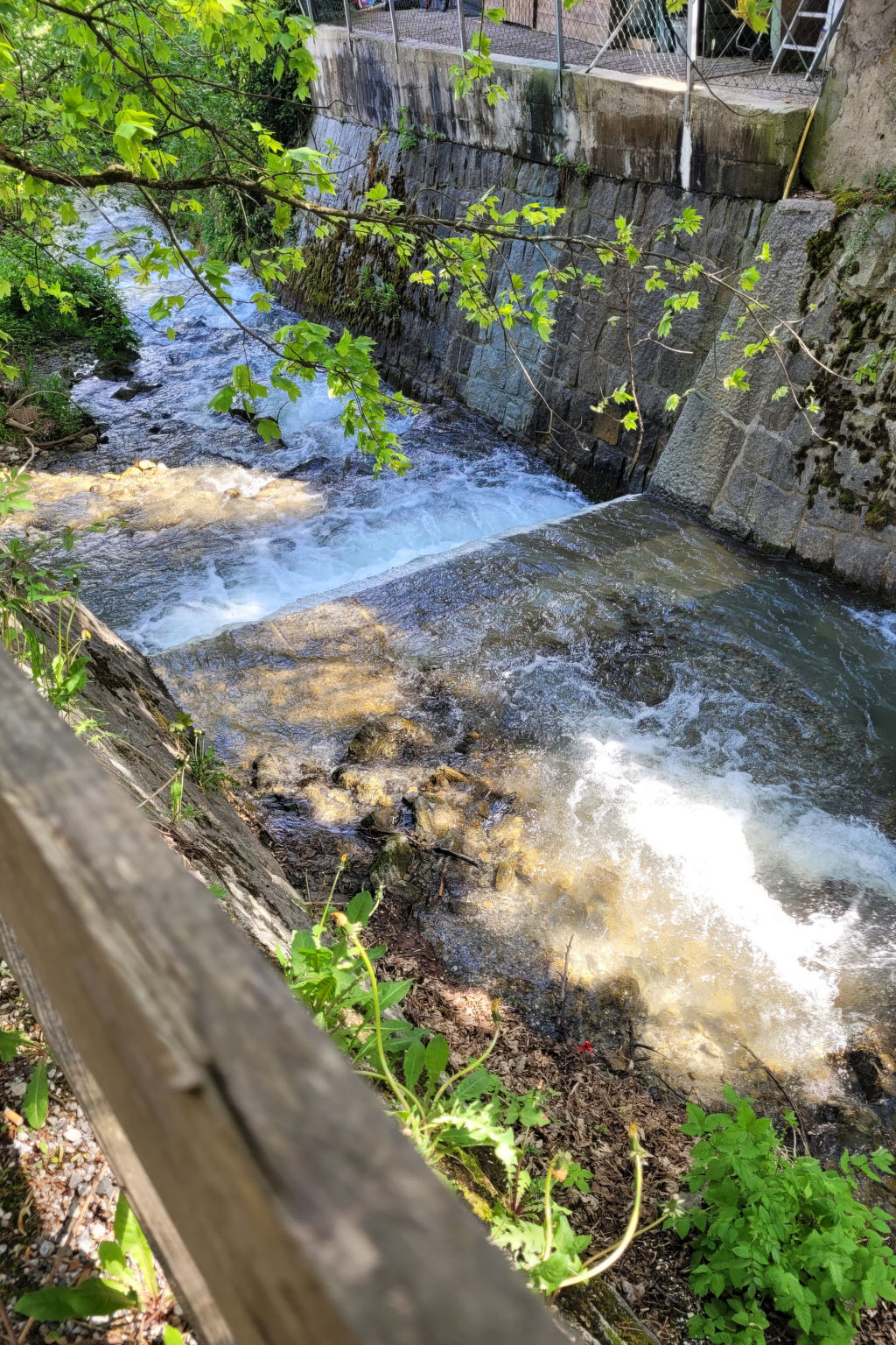 Photo of Apartment Peacock, nahe Zentrum, am Skiweg