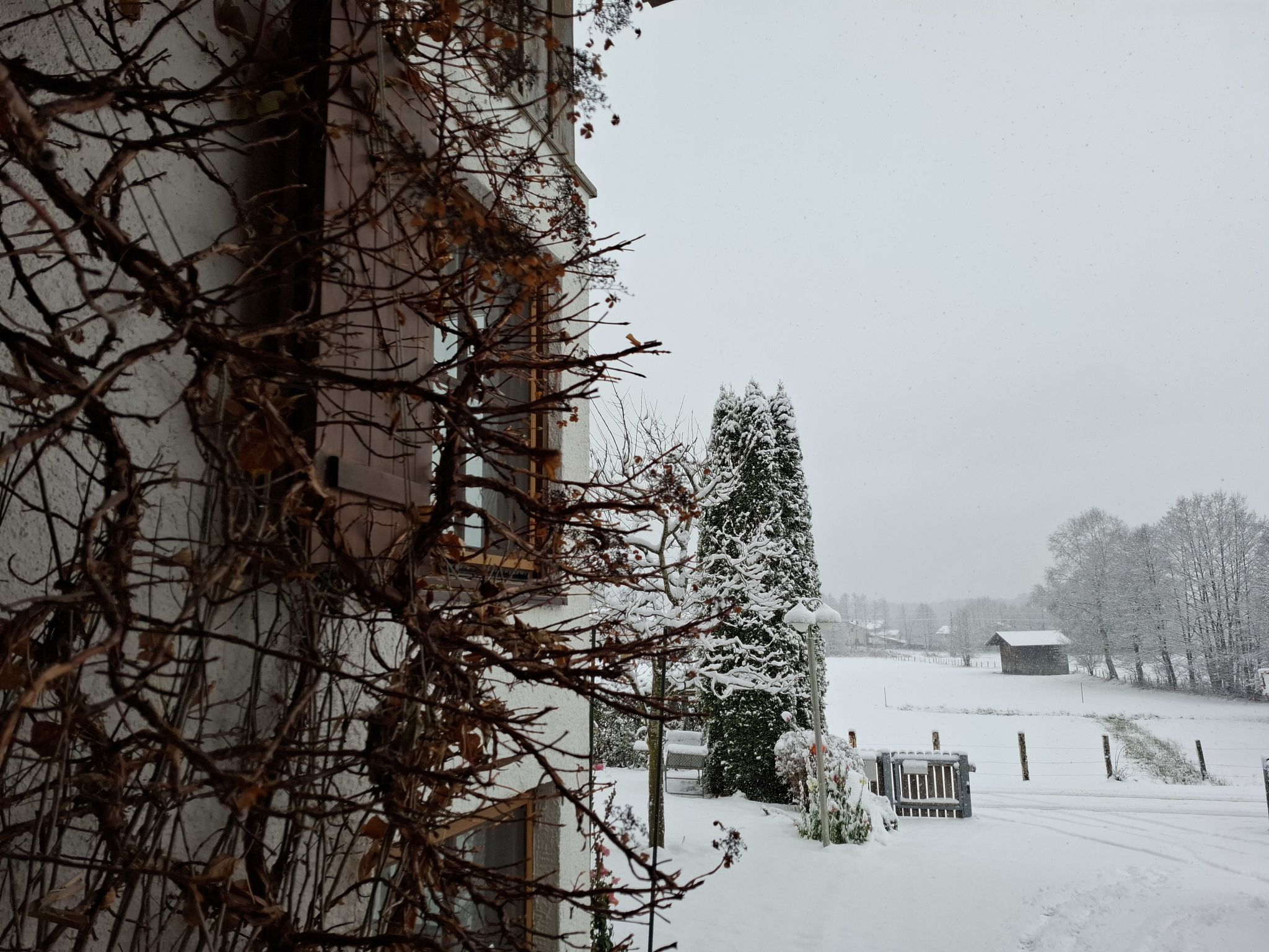 Photo of Martinsklause