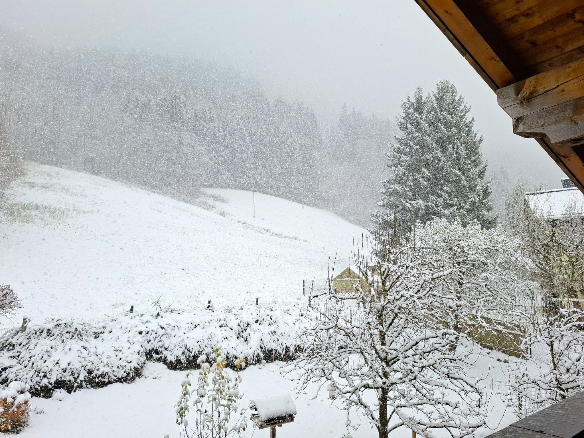 Photo of Martinsklause