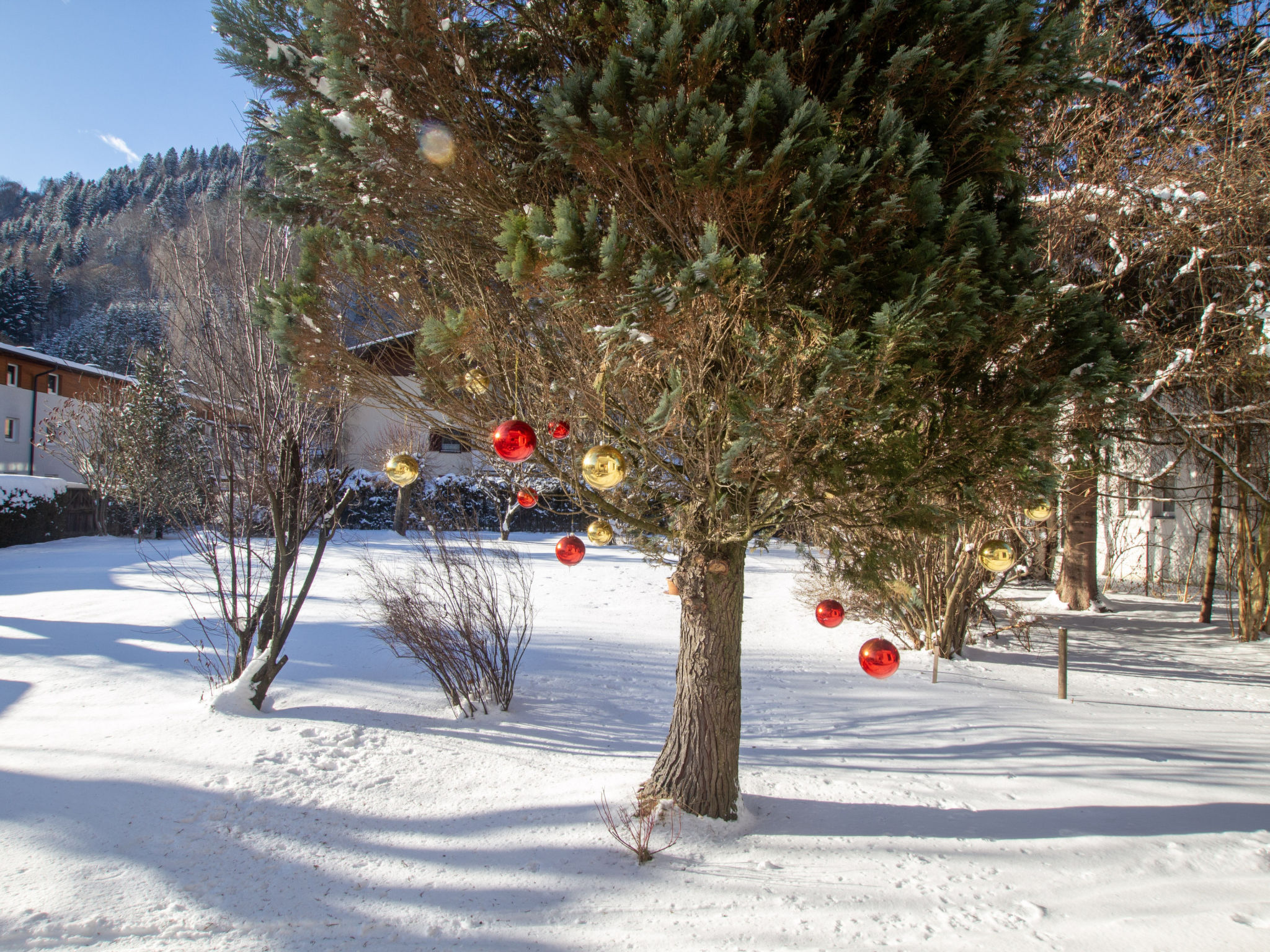 Photo of Panorama App 1A Zell am See