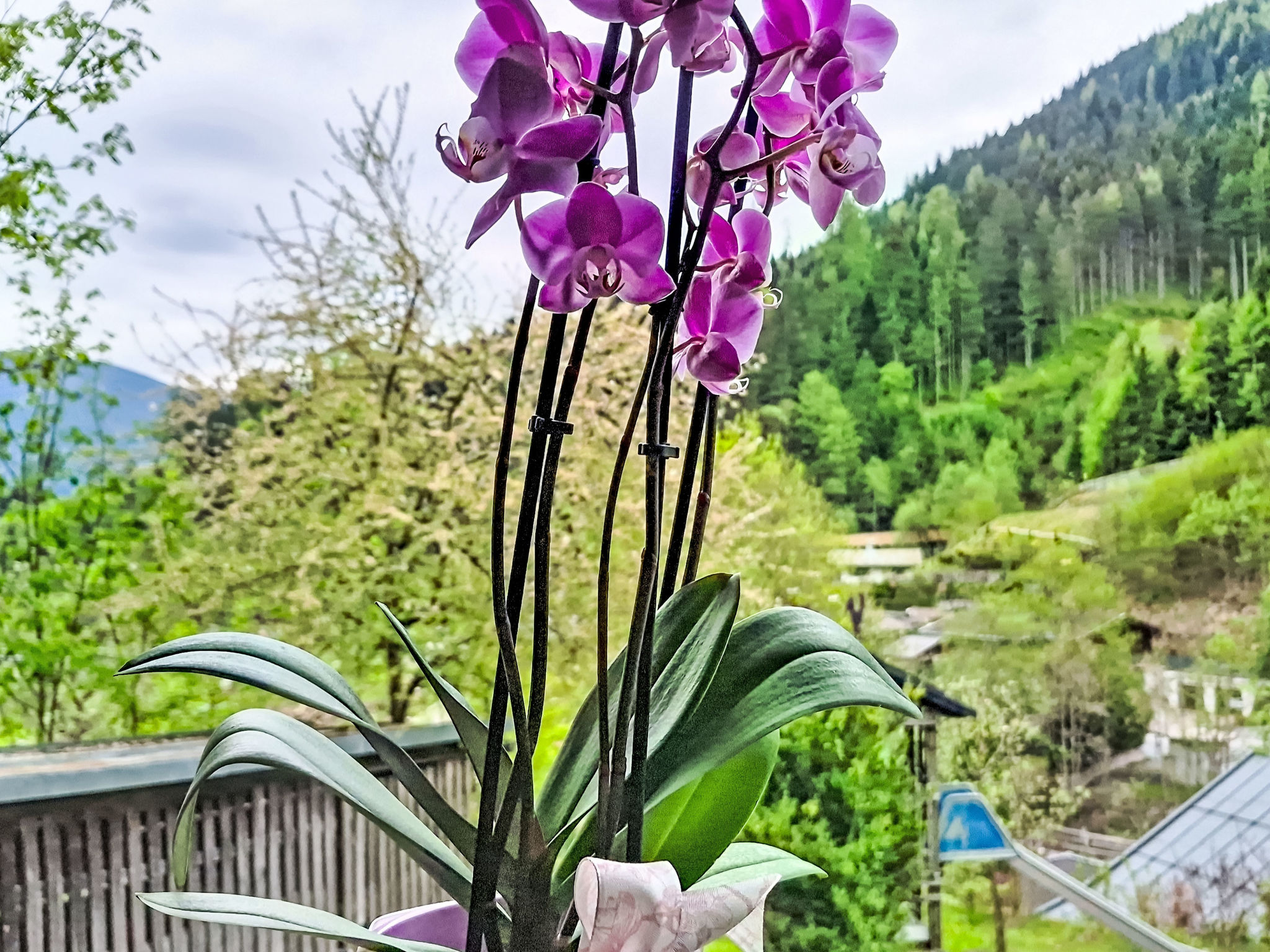 Photo of alpenHIT Zell am See