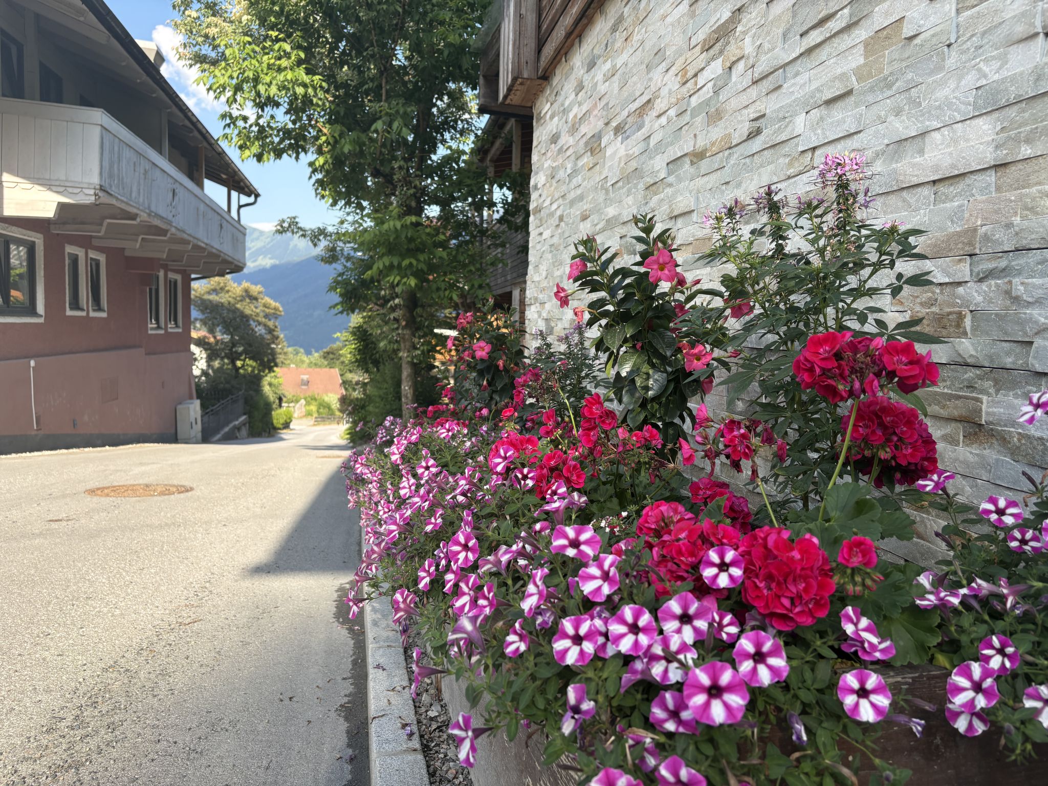 Photo of Wildbachhof 16