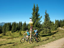 Feriebolig Chalet Alpin