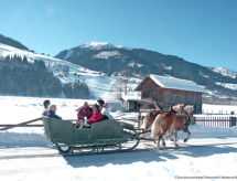 Feriebolig Chalet Alpin