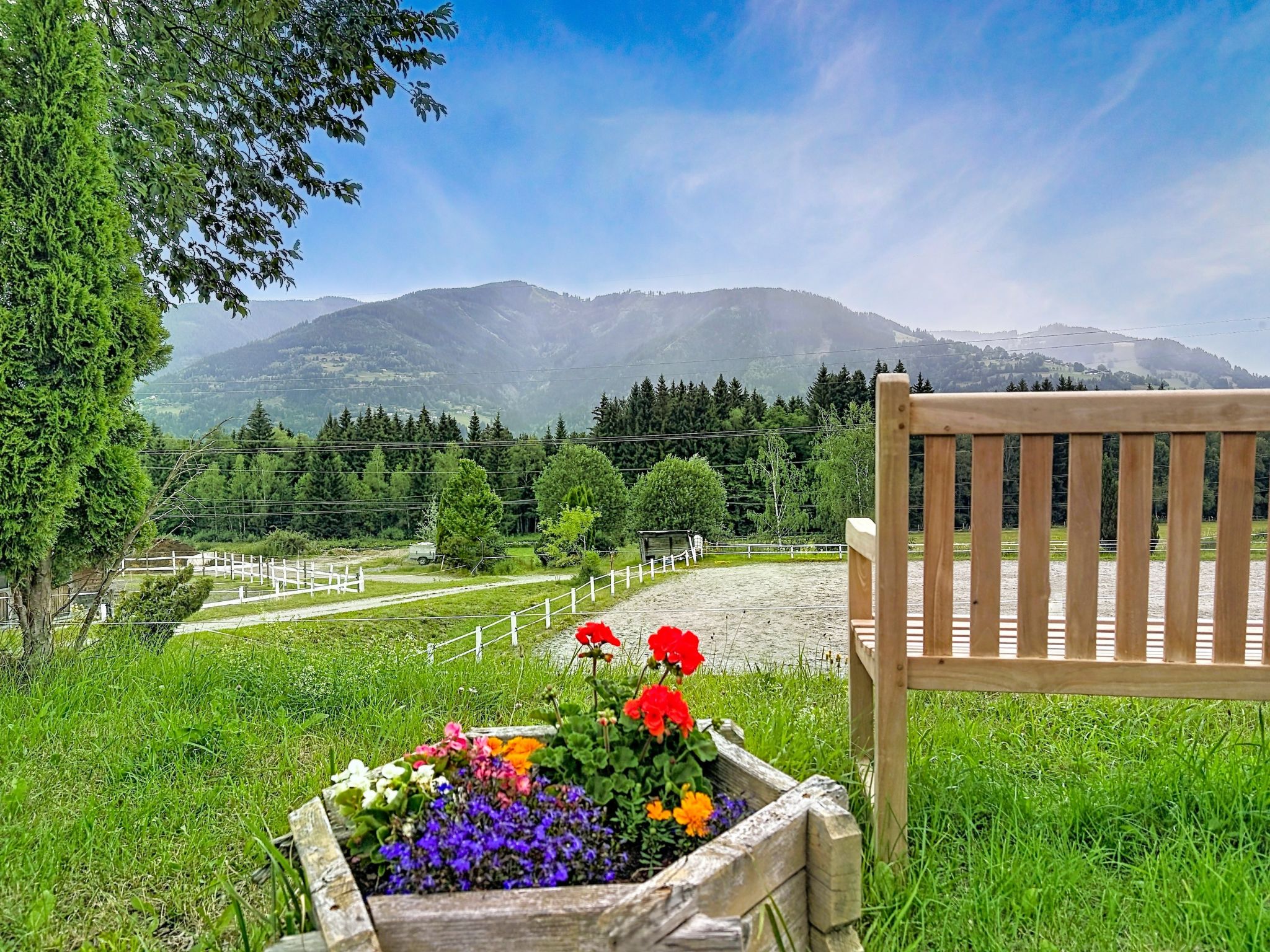 Photo of Edelweiss 2