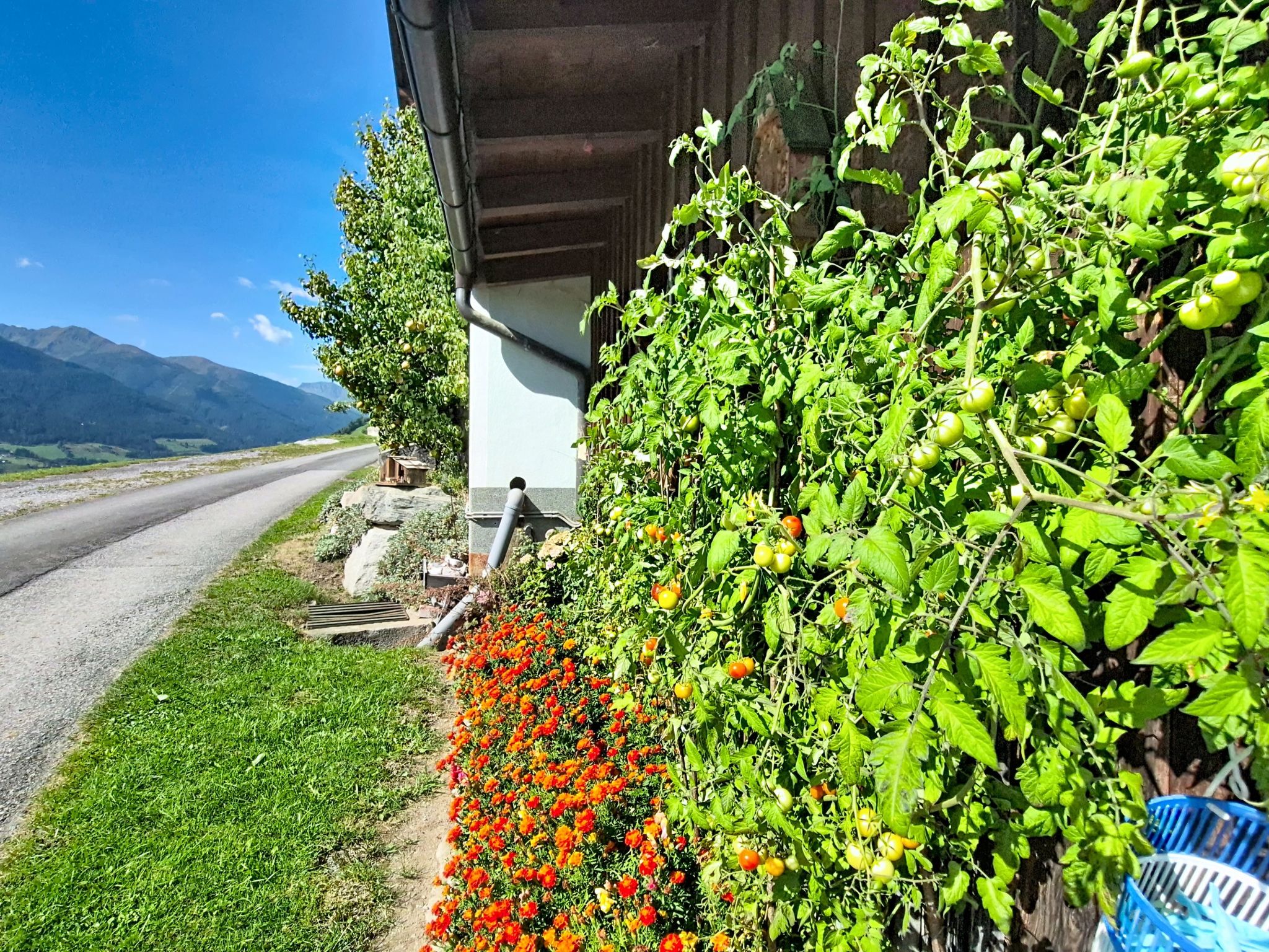Photo of Angererhof