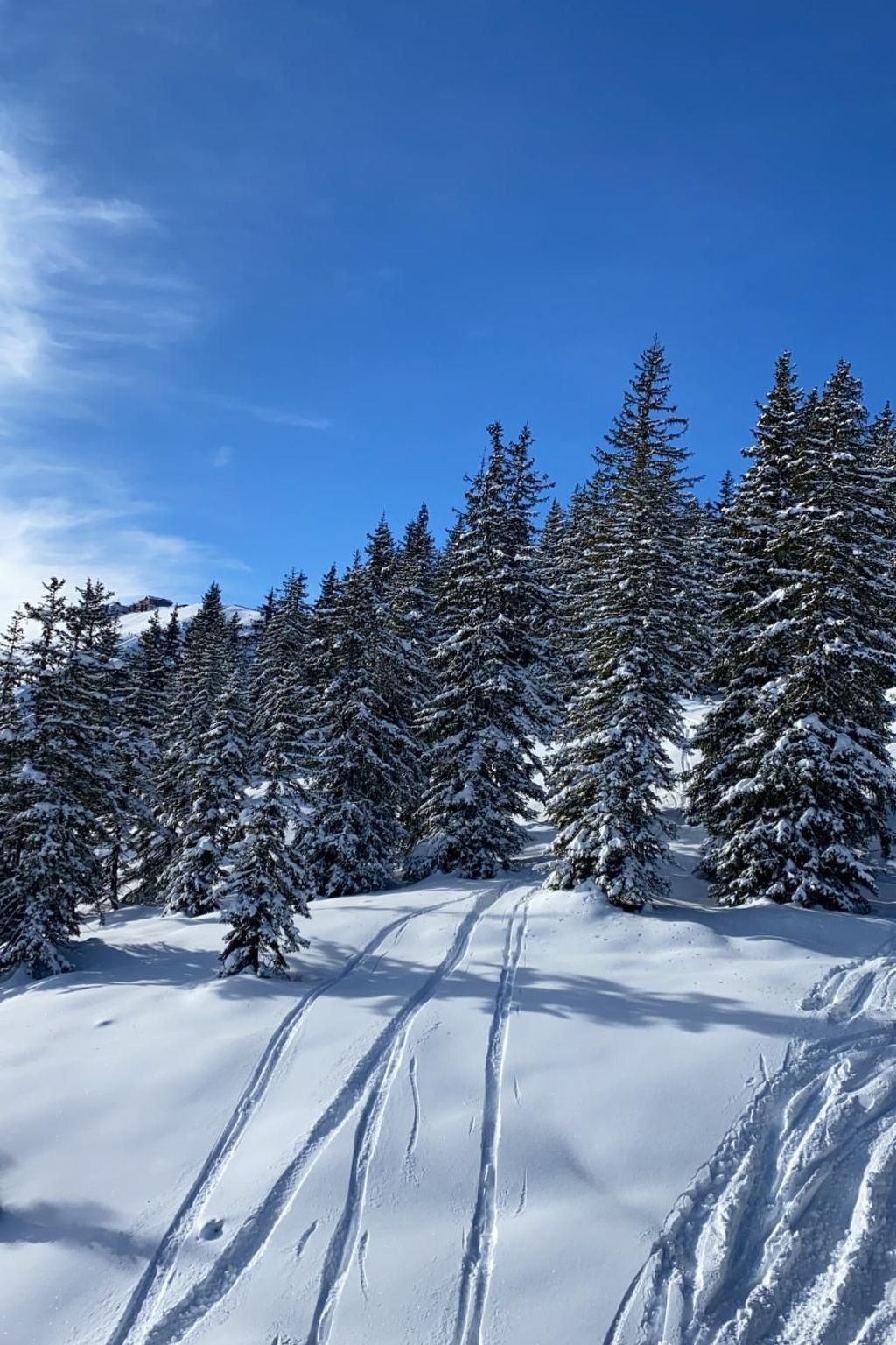 Alpinresort Kaprun top 2-Image-tags.info