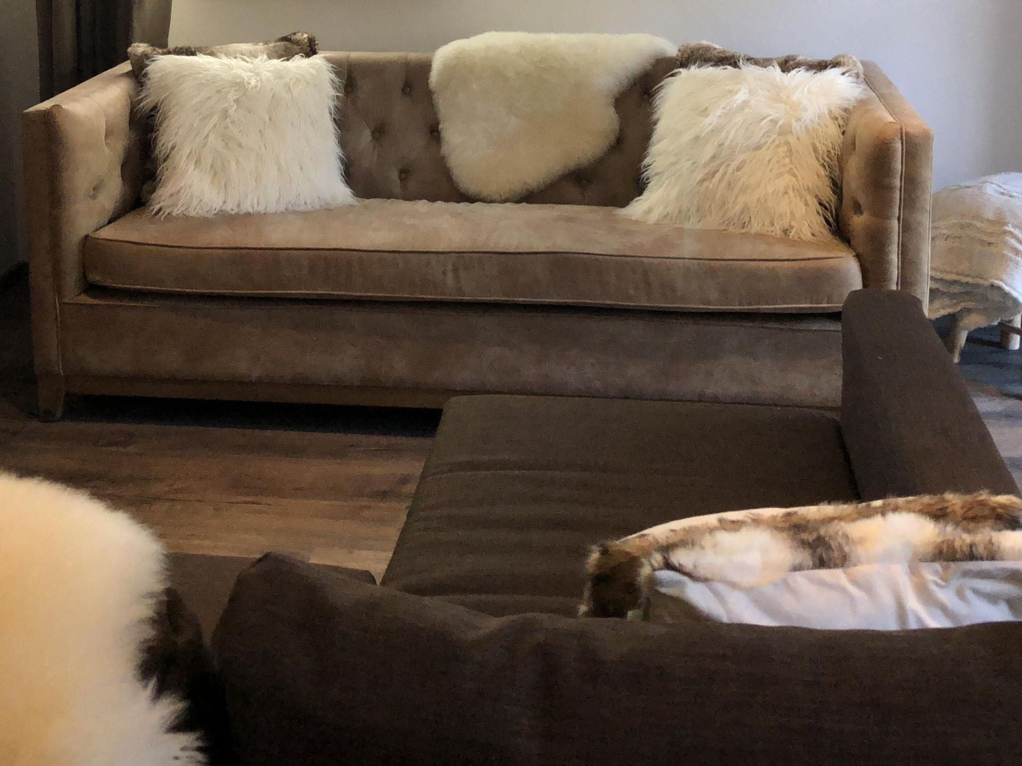 Alpinresort Kaprun top 1-Image-tags.info