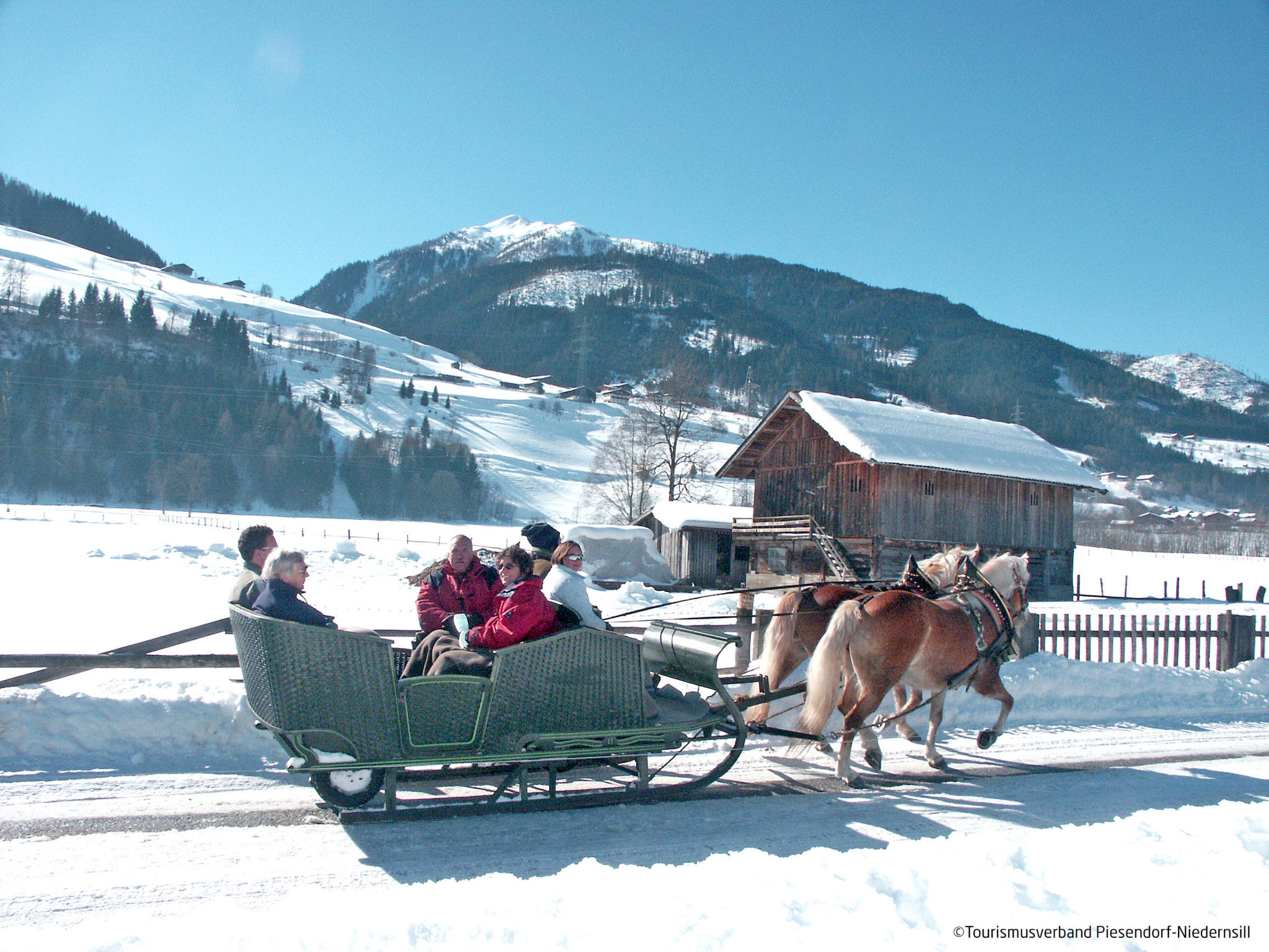 Chalet Dinkel in Niedernsill 6 -A - Environnement