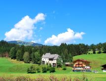 Wohnung Pihapperblick in Hollersbach im Pinzgau