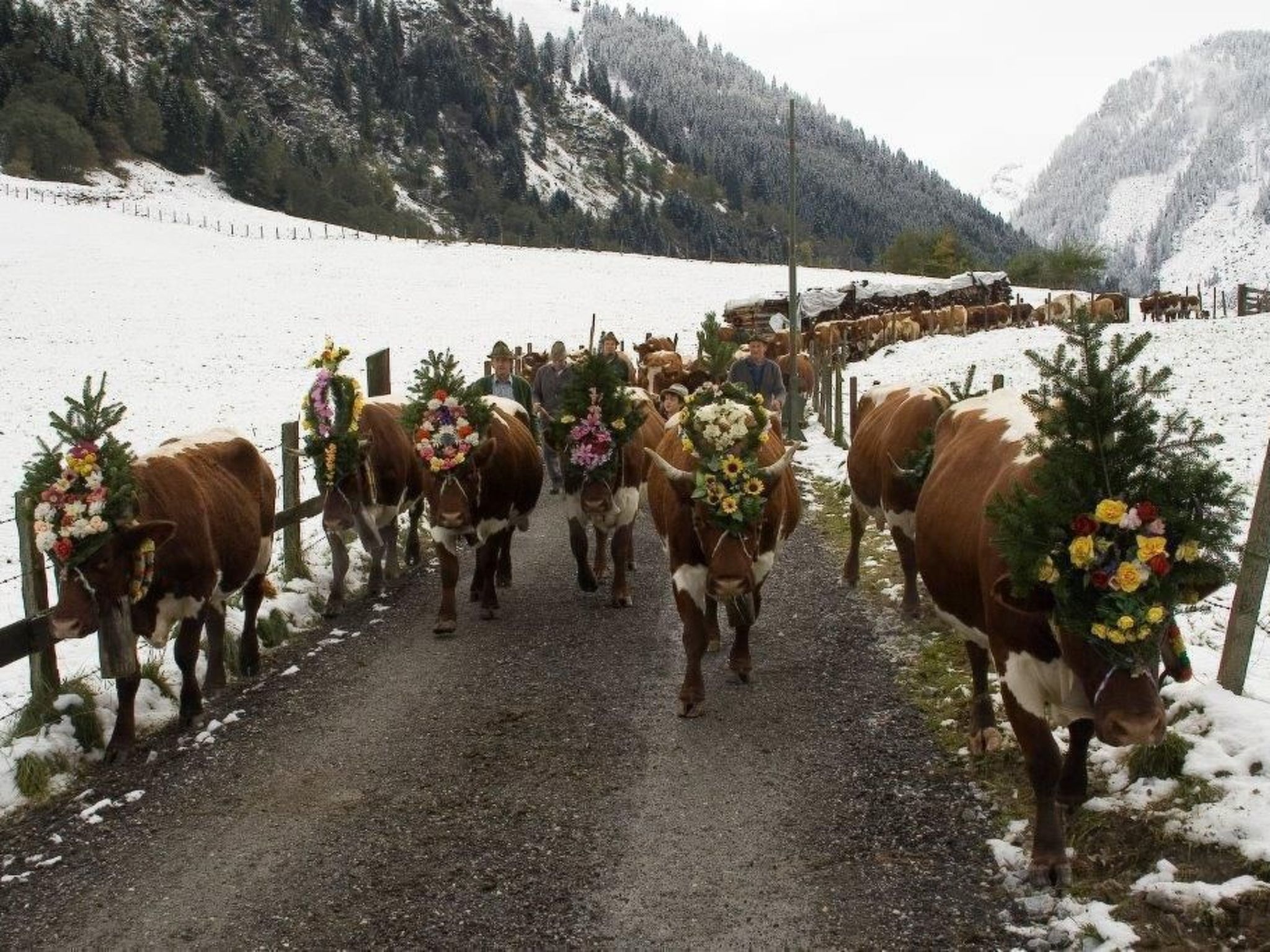 Photo of Sonnblick in Hollersbach im Pinzgau