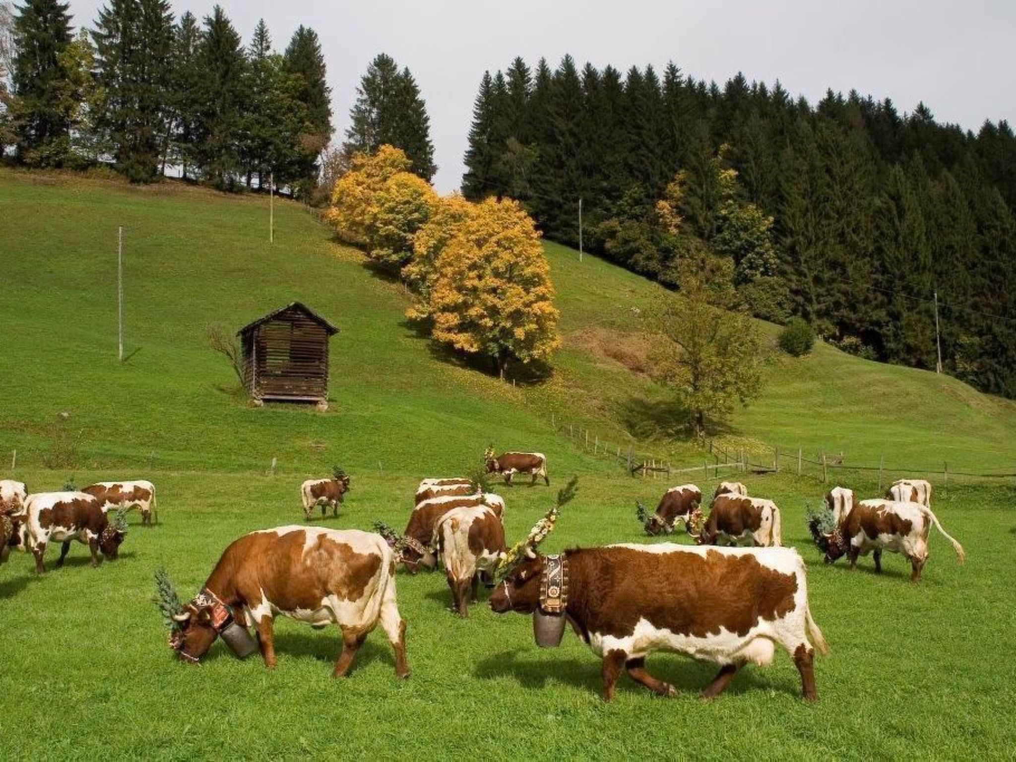 Photo of Sonnblick in Hollersbach im Pinzgau